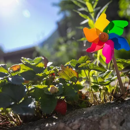 Garni Schmiedhof Bed & Breakfast Naturns
